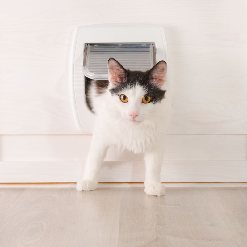 Cat Door Installation detail